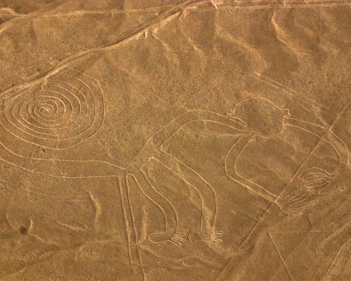 Fly over the Monkey geoglyph in the Nazca Desert.