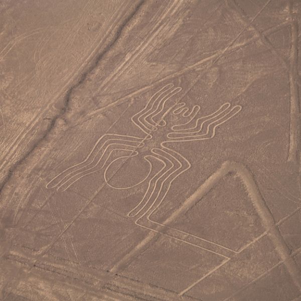 The Spider figure on the Nazca Desert.