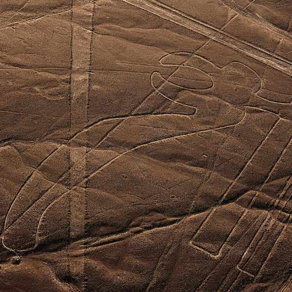Parrot Geoglyph at the Nazca Lines stony desert.