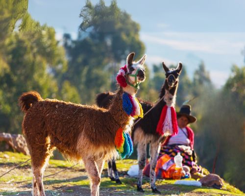 Sacred Valley: A land of history, culture, and Andean beauty.