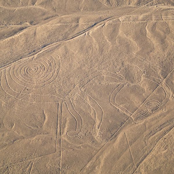 A Monkey figure on our flight over Nazca Desert.