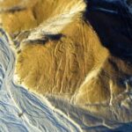 NAZCA LINES TOUR FROM CUSCO