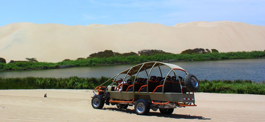 Oasis Moron Tour from Paracas.