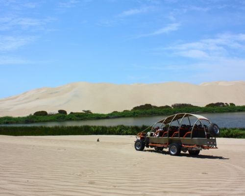 Dune buggy arriving at Oasis Morón in the desert.