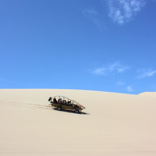 Oasis Moron Tour from Paracas.