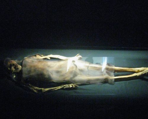 Mummified remains of the Lady of Cao