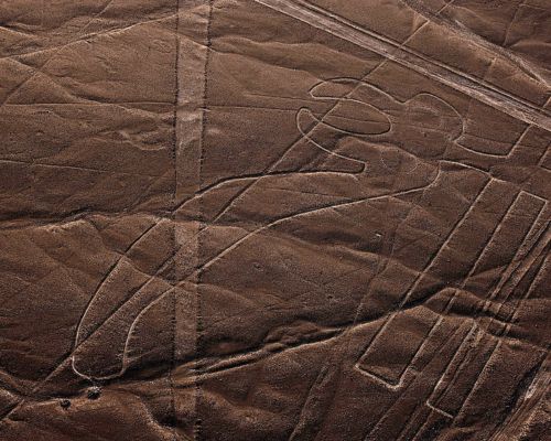 The Parrot geoglyph carved into the desert