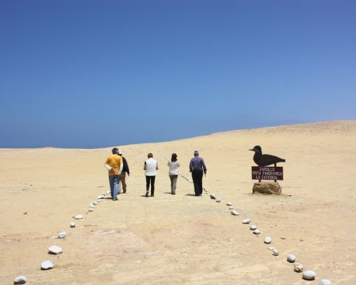 Paracas Bay Tour