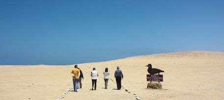 Grupo de visitantes caminando por el desierto hacia un mirador en Paracas