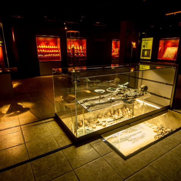 Museum showcase with skeletons and Moche burial offerings