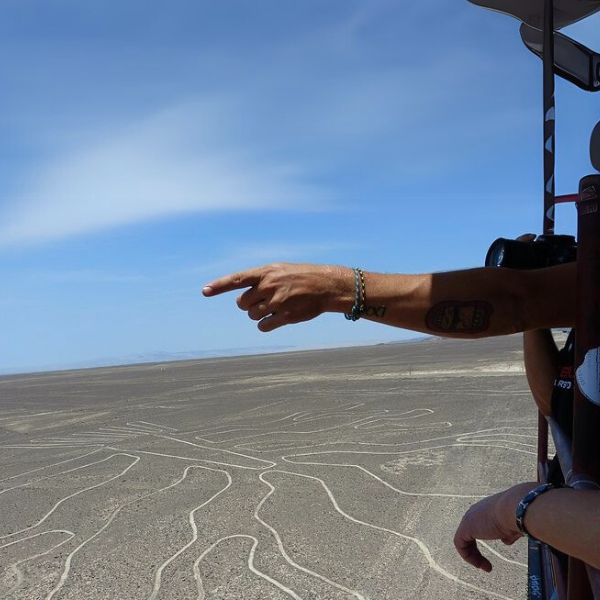 View of the Nazca Lines from the observation tower showing the Tree geoglyph.