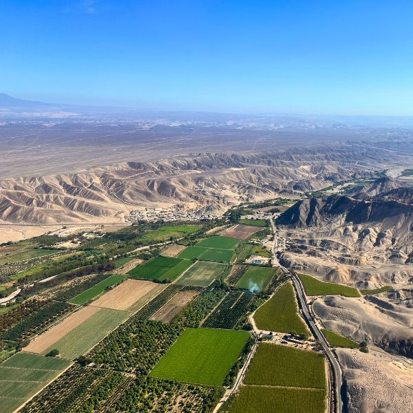 Scenic view of the Palpa Valley oasis surrounded by mountains and desert terrain
