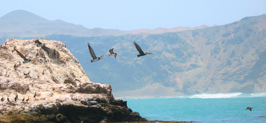 View of San Fernando Bay during our tour.