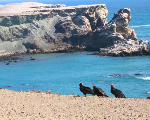 Tour to San Fernando Bay