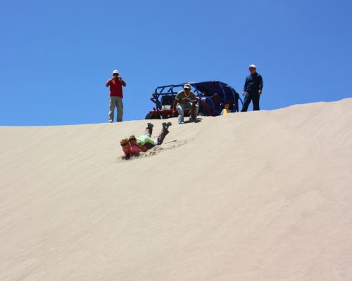 Family fun sandboarding the dunes on the Usaka Desert Tour